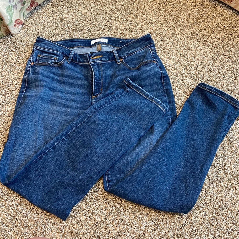 Loft Curvy Skinny Crop Jeans